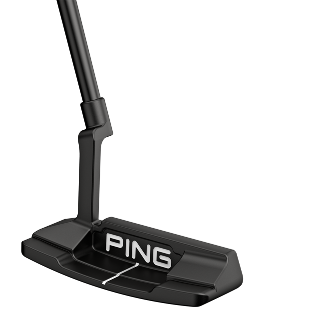 Picture of PING ANSER 2D